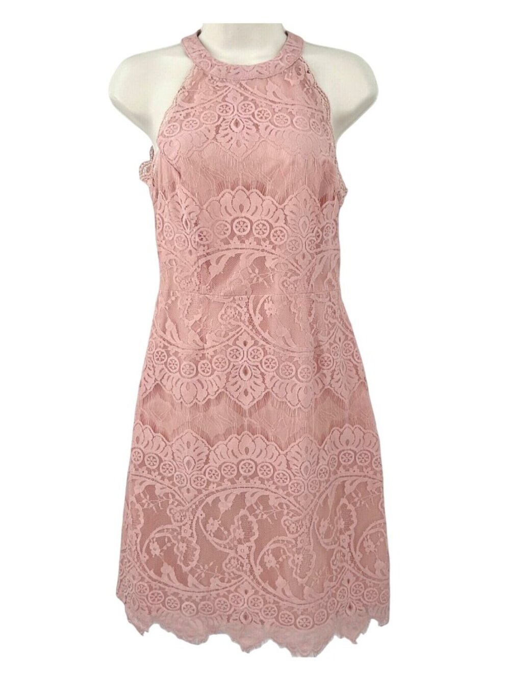 BEAUTIFUL PALE PEACH BB DAKOTA LACE SLEEVELESS DRESS - 4